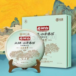 太姥 白芽春雪5610