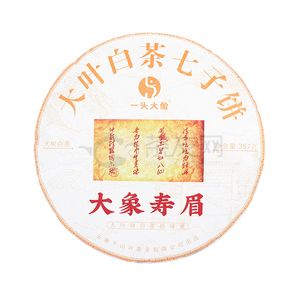 大象寿眉