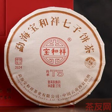 传承T5